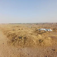 کود گوسفندی