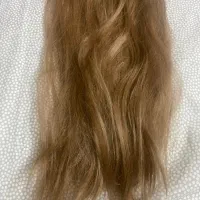کلاه گیس|آرایشی، بهداشتی، درمانی|مشهد, کوه سنگی|دیوار