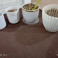 گلدون سفالی