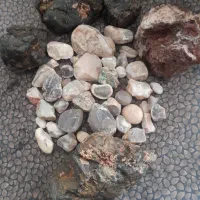 سنگ شجر|کلکسیون اشیاء عتیقه|زنجان, |دیوار