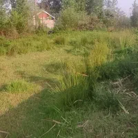 زمین-360-متری-در-پیربازار