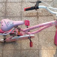 دوچرخه دخترانه|دوچرخه، اسکیت، اسکوتر|کاشان, کارگر|دیوار