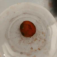 سنگ صفرا گاو و گوسفند|جواهرات|یزد, |دیوار