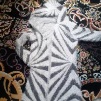 بافت صفر تا الان استفاده نشده 250 هزار