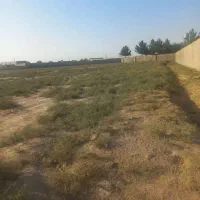 زمین کشاورزی صنعتی(ورامین رو ب رو جاده رستم اباد)