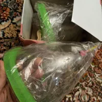 سیسمونی|آرایشی، بهداشتی، درمانی|تهران, بوستان چیتگر|دیوار