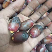 رطب خنیزی با عطر و طعم دل‌انگیز