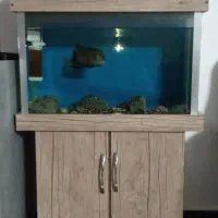 آکواریوم میز دار