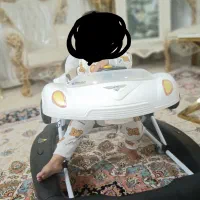 روروک دلیجان