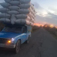خرید و فروش کاه لوبیا