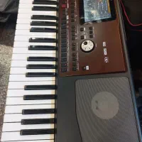 ارگ  آکبندpa700 O'RIENTAL|پیانو، کیبورد، آکاردئون|ابریشم, |دیوار