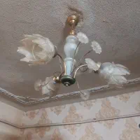 دوعدد لوستر برنج