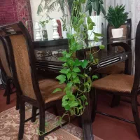 میزناهارخوری|میز و صندلی غذاخوری|آبیک, |دیوار