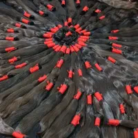 کارگاه تخصصی مو