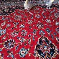 یک جفت عروس هلندی