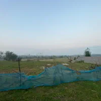 ۵۷۰۰متر خانه محوطه و شالی بر اسفالت|فروش زمین و ملک کلنگی|کوچصفهان, |دیوار