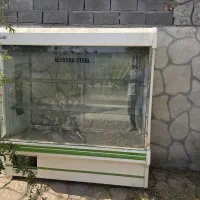 یخچال ویترینی