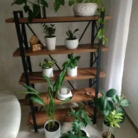 فروش استند ۵طبقه و گیاه