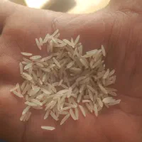 برنج|خوردنی و آشامیدنی|سنگدوین, |دیوار