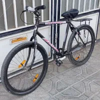 دوچرخه ویوا رینگ اسپرت مرتب