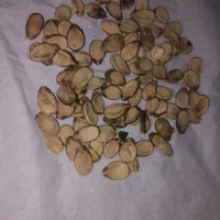 تخم آجیلی|خوردنی و آشامیدنی|کلاله, |دیوار