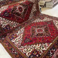 جفت ۶ متری هریس گوشت دار