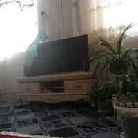 خانه-ویلایی-دربست