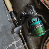 لنسر ماهیگیری  نو نو