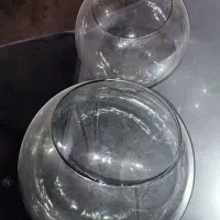 تنگ شیشه ای