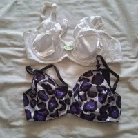 سوتین فانتزی فنردار|لباس|همدان, |دیوار