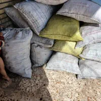 کبابی گونی در دخته