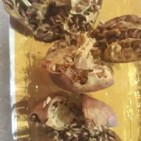 ترشی انار دون کیلویی ۲۴۰