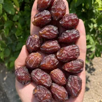 خرما خاصویی خشک و نیمه خشک