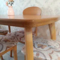 میز و صندلی ناهارخوری|میز و صندلی غذاخوری|شیراز, تندگویان|دیوار