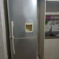 یخچال مناسب باغ و مغازه