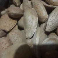 بادام سنگی شیرین|خوردنی و آشامیدنی|ایلخچی, |دیوار