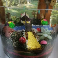 انواع گل طبیعی|گل و گیاه طبیعی|اصفهان, دنارت|دیوار