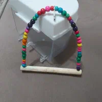 تاب و ظرف حمام پرنده|لوازم جانبی حیوانات|بندر انزلی, عباس آباد|دیوار