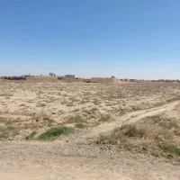 زمین بلوار حکیم