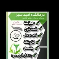 حجامت.زالودرمانی.فصد خون.بادکش