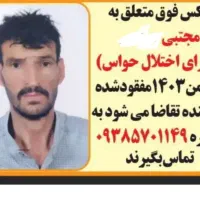دامداری گمشده مجتبی