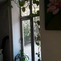 گل وگلدان|گل و گیاه طبیعی|کامیاران, |دیوار