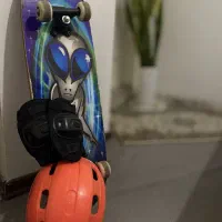 اسکیت برد  برند joerex به همراه کلاه و زانو بند