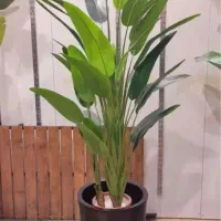 درخ جه|گل مصنوعی|تهران, مشیریه|دیوار