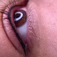 با اموزش اسان وارد بازار شو و به درآمد بالا برسید