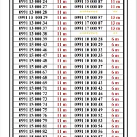 0991-3100.104