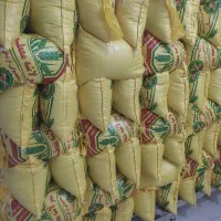 فروش انواع برنج ایرانی با چک صیادی بدون پیش پرداخت