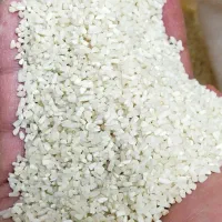 لاشه هاشمی آستانه اشرفیه|خوردنی و آشامیدنی|قم, یخچال قاضی|دیوار