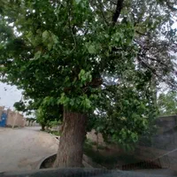 فروش زمین۵۲۱مترامتیازات برق وآب آسفالت فردوسی|فروش زمین و ملک کلنگی|مشهد, رضاشهر|دیوار