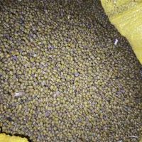 ماش|خوردنی و آشامیدنی|اندیمشک, |دیوار